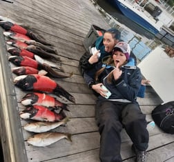 California Sheephead Fishing in Long Beach, California