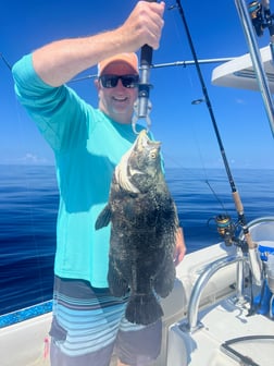 Lobster, Red Snapper, Skipjack Tuna, Yellowtail Amberjack Fishing in Tavernier, Florida