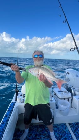 Fishing in Tavernier, Florida