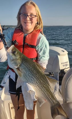 Hybrid Striped Bass, Striped Bass fishing in Runaway Bay, Texas