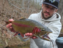 Brown Trout Fishing in Johnson City, Tennessee