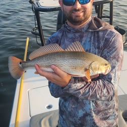 Redfish Fishing in Islamorada, Florida