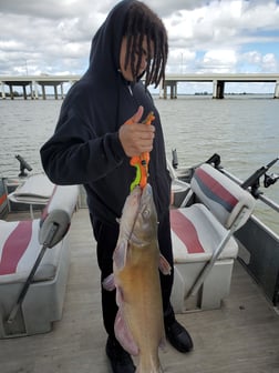 Channel Catfish Fishing in Port Clinton, Ohio