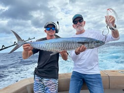 Spanish Mackerel Fishing in Kona, Hawaii