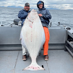 Halibut Fishing in Soldotna, Alaska