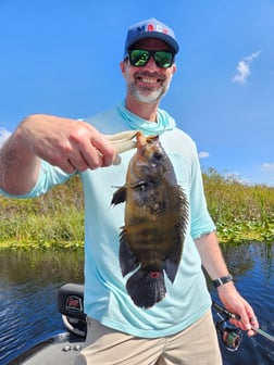 Fishing in Fort Lauderdale, Florida