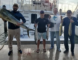 King Mackerel / Kingfish, Mahi Mahi / Dorado Fishing in Hillsboro Beach, Florida