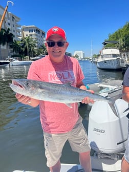 Barracuda Fishing in Fort Lauderdale, Florida