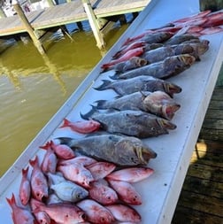 Snowy Grouper Fishing in Gulf Shores, Alabama