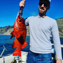 Rockfish Fishing in Bodega Bay, California