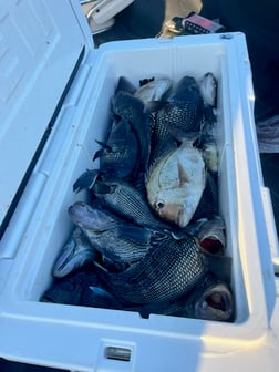 Fishing in Atlantic Beach, North Carolina