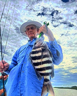 Sheepshead fishing in Johns Island, South Carolina