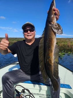 Snakehead Fishing in Miramar Beach, Florida