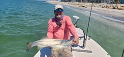 Snook Fishing in Fort Myers, Florida