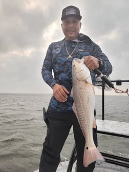 Redfish Fishing in Rio Hondo, Texas