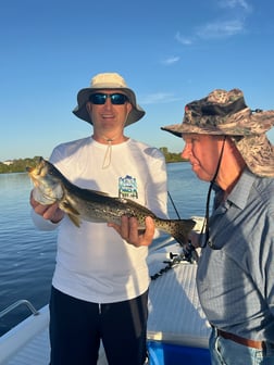 Fishing in Tarpon Springs, Florida