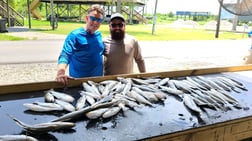 Speckled Trout / Spotted Seatrout fishing in Yscloskey, Louisiana