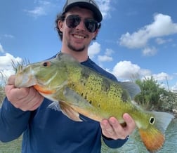 Largemouth Bass Fishing in Palmetto Bay, Florida