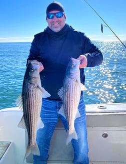 Striped Bass Fishing in Stone Harbor, New Jersey