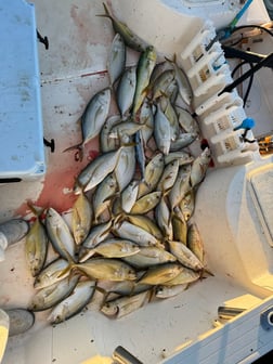 Fishing in Key Largo, Florida