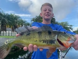 Peacock Bass Fishing in Palmetto Bay, Florida