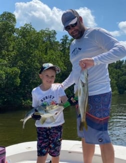 Snook Fishing in St. Petersburg, Florida