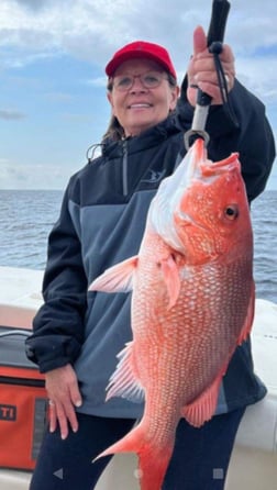 Red Snapper Fishing in Clearwater, Florida