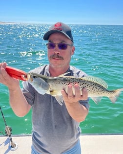 Little Tunny / False Albacore Fishing in Jacksonville, Florida