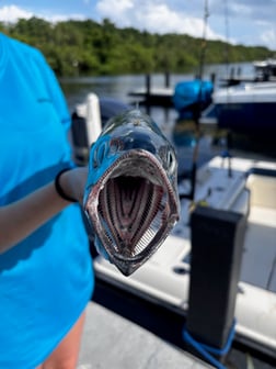 Fishing in Miami, Florida