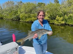 Mangrove Snapper, Sheepshead Fishing in St. Petersburg, Florida