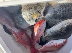 Redfish Fishing in Buras, Louisiana