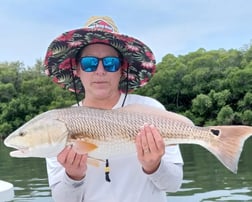 Redfish Fishing in Clearwater, Florida