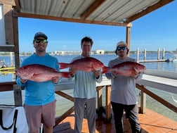 Red Snapper Fishing in Jacksonville, Florida