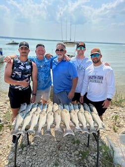 Striped Bass Fishing in Whitney, Texas