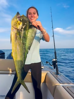 African Pompano Fishing in Fort Myers, Florida