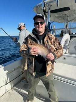 Fishing in Panama City Beach, Florida