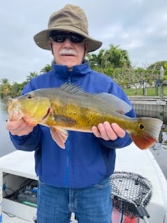 Peacock Bass Fishing in West Palm Beach, Florida