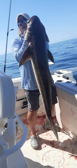 Fishing in Sarasota, Florida