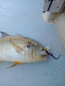 Fishing in Melbourne, Florida