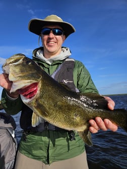 Largemouth Bass Fishing in Fort Lauderdale, Florida