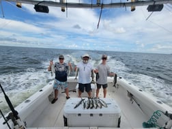 Spanish Mackerel fishing in Gulf Shores, Alabama