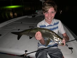 Snook Fishing in Jupiter, Florida