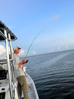 Redfish, Speckled Trout / Spotted Seatrout fishing in Rockport, Texas