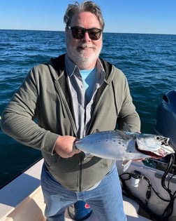 Little Tunny / False Albacore Fishing in Jacksonville, Florida