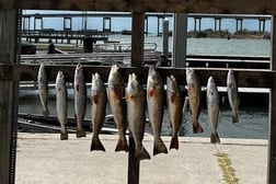 Redfish fishing in Ingleside, Texas