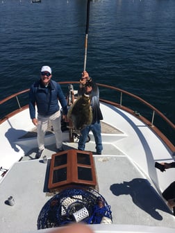 Halibut Fishing in San Diego, California