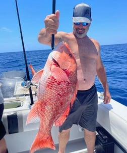 Amberjack, Red Grouper, Red Snapper, Yellowtail Snapper Fishing in Clearwater, Florida