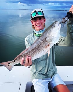 Redfish Fishing in Sarasota, Florida