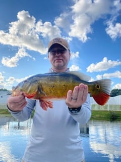 Peacock Bass Fishing in West Palm Beach, Florida