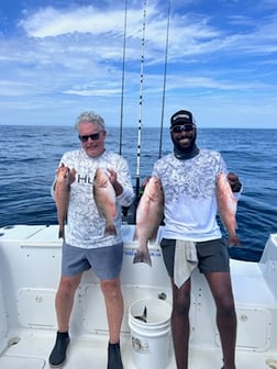 Fishing in Bay Pines, Florida